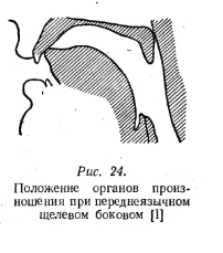 Profile of [l]