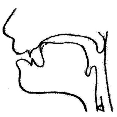 Profile of [ts]