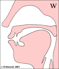 Profile of [w]